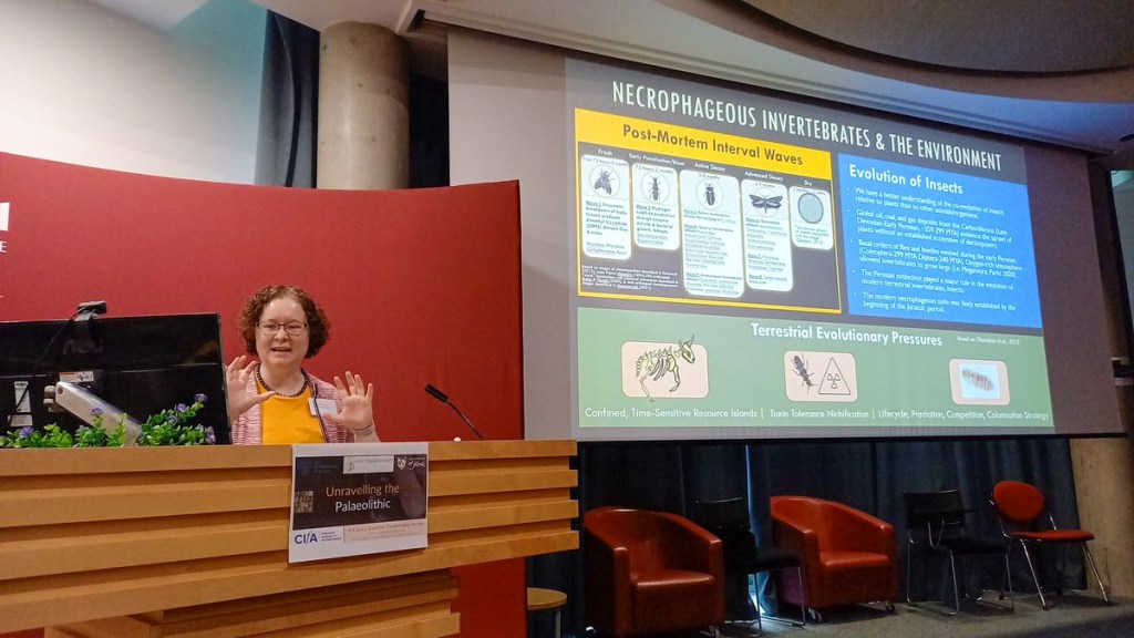 Unravelling the Palaeolithic Conference&nbsp;2024